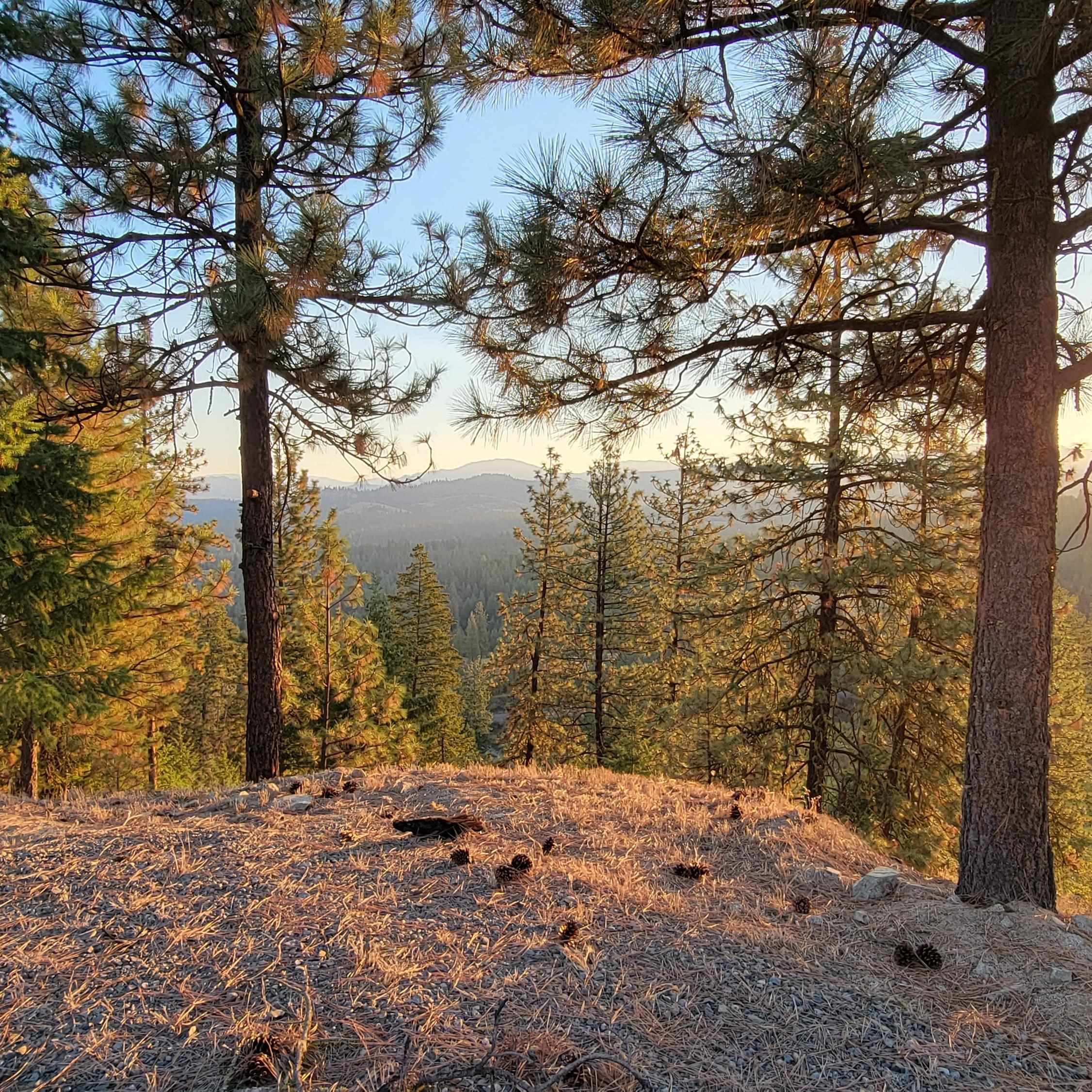5300 Moose Tracks Way - Photo 13