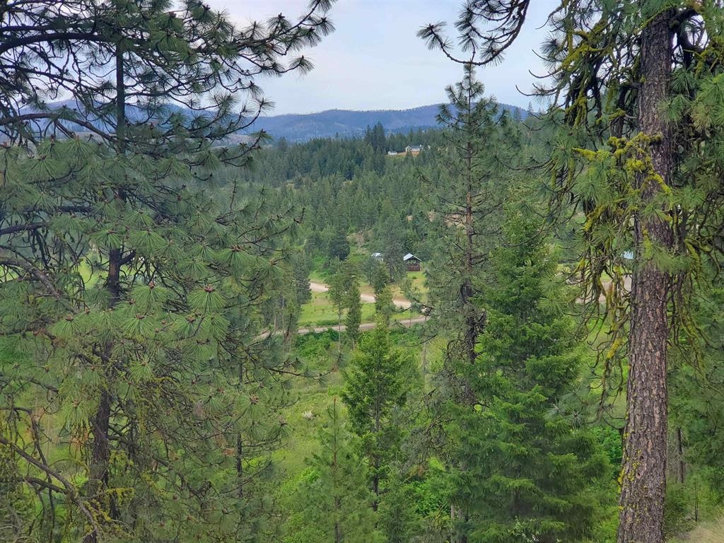 5300 Moose Tracks Way - Photo 14