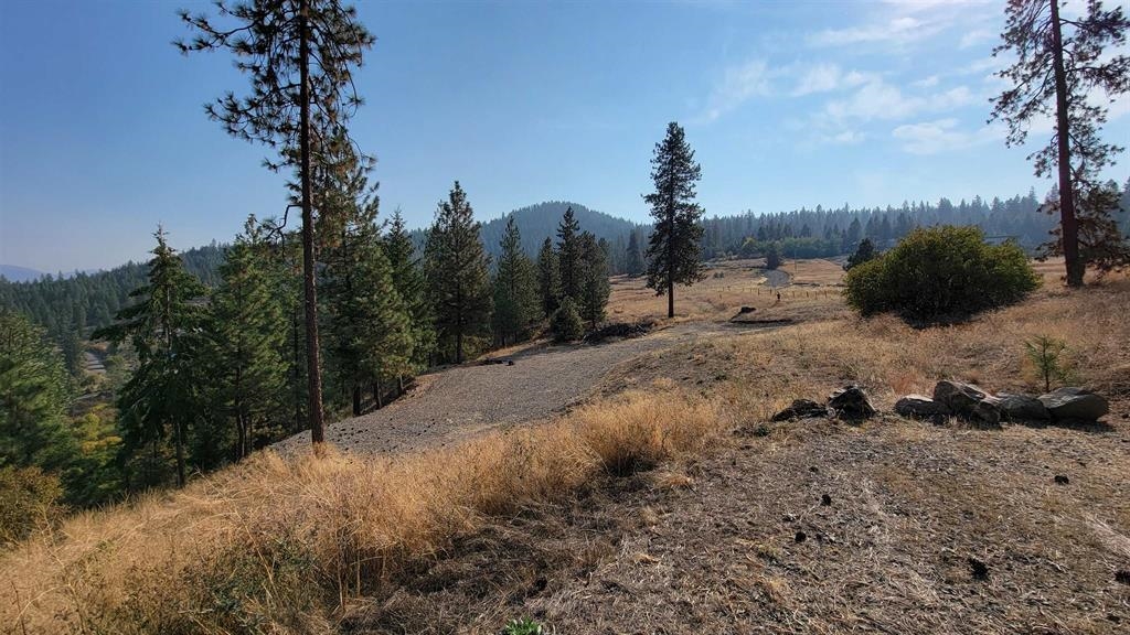 5300 Moose Tracks Way - Photo 15