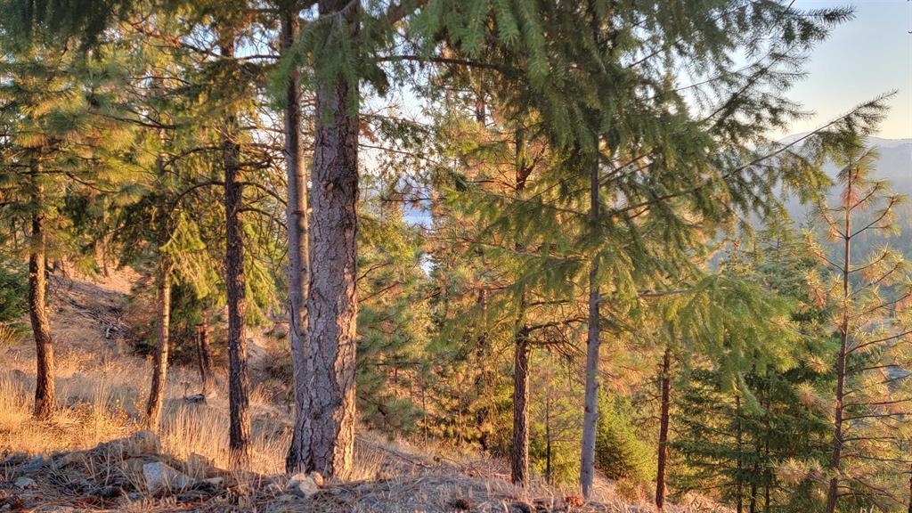 5300 Moose Tracks Way - Photo 18