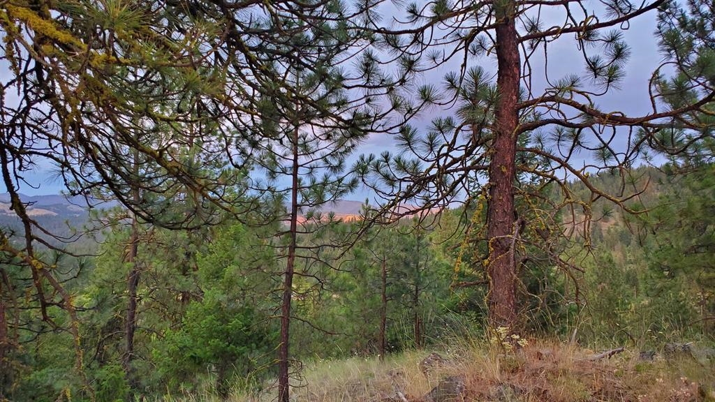 5300 Moose Tracks Way - Photo 19