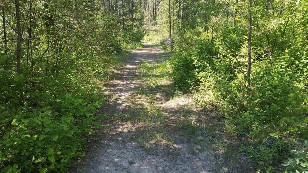 5300 Moose Tracks Way - Photo 22