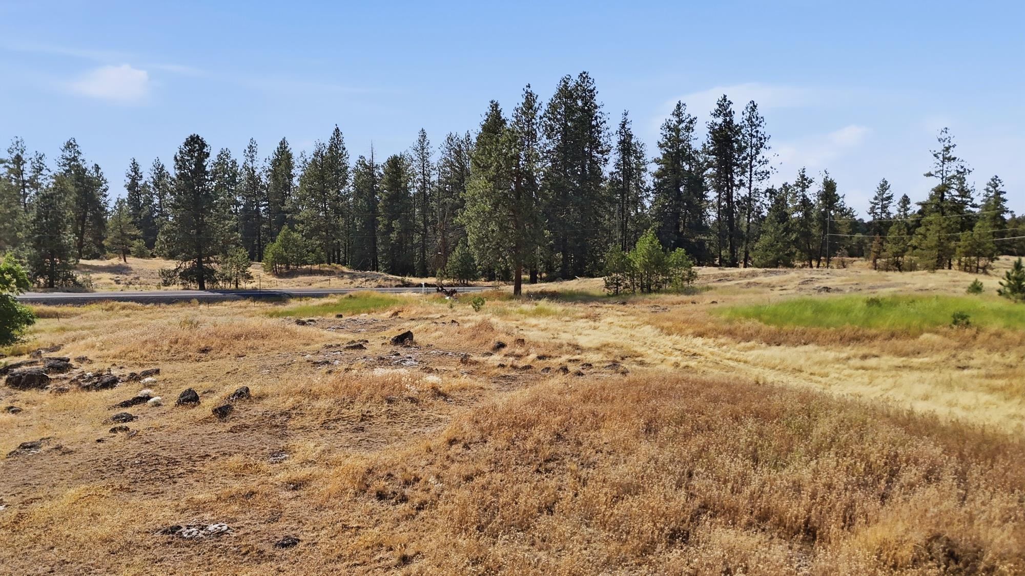 11900Blk S CHENEY-PLAZA Rd - Photo 8