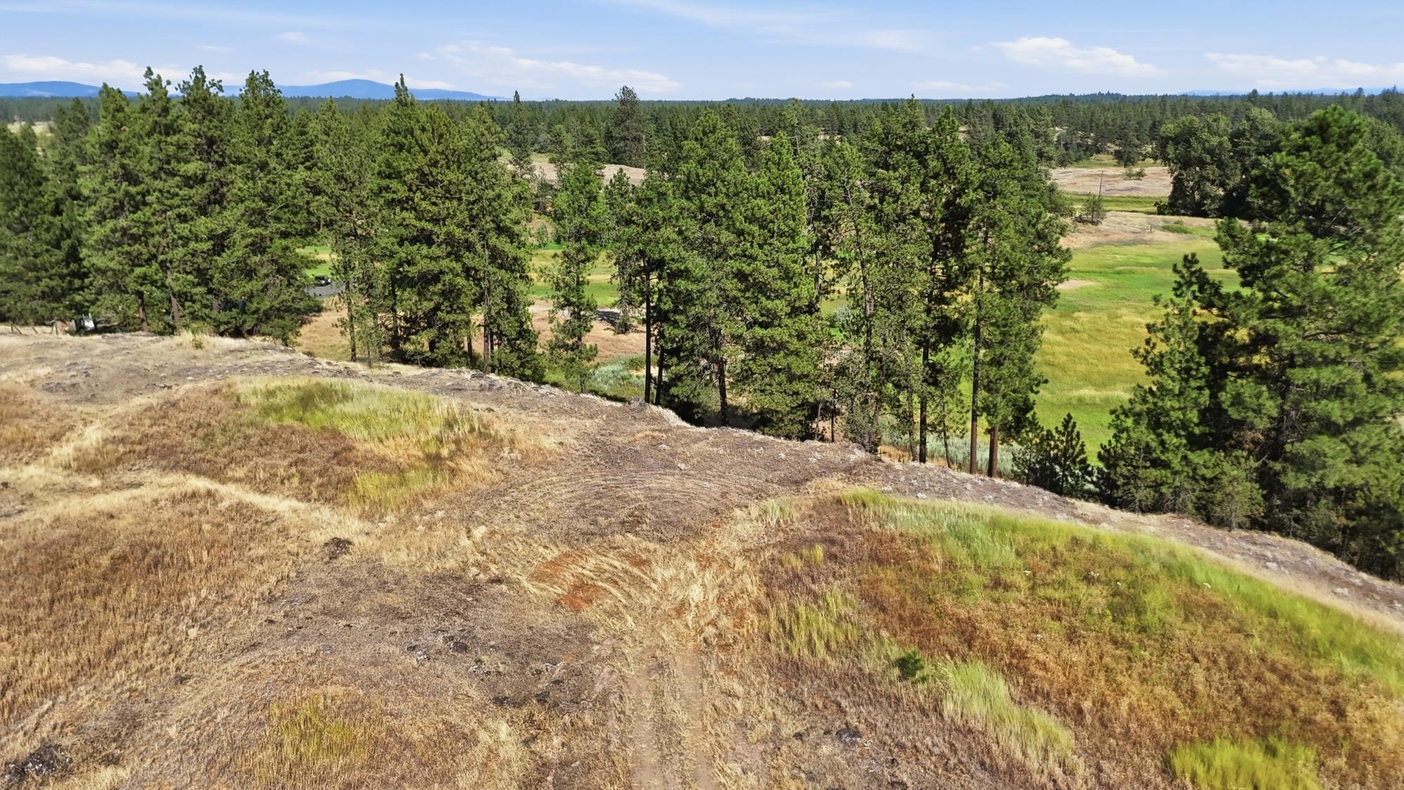 11900Blk S CHENEY-PLAZA Rd - Photo 13