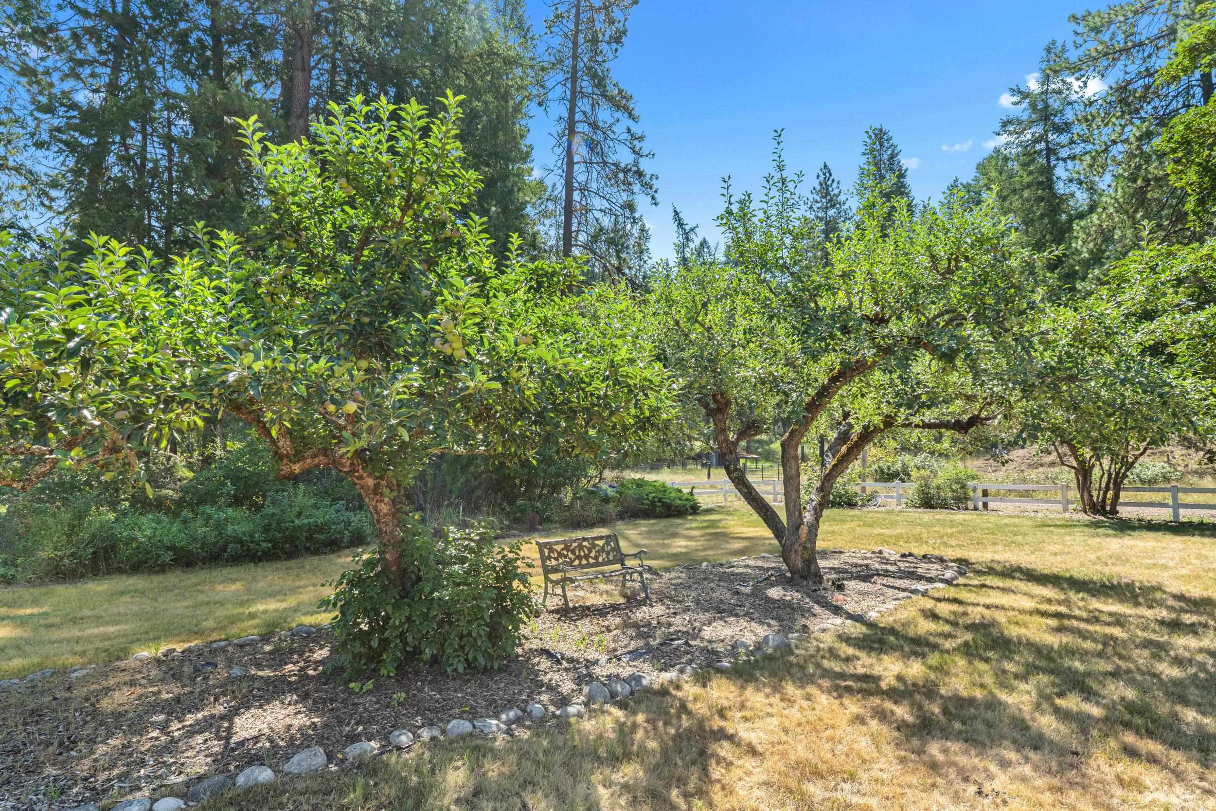 2339 Kettle River Rd - Photo 13