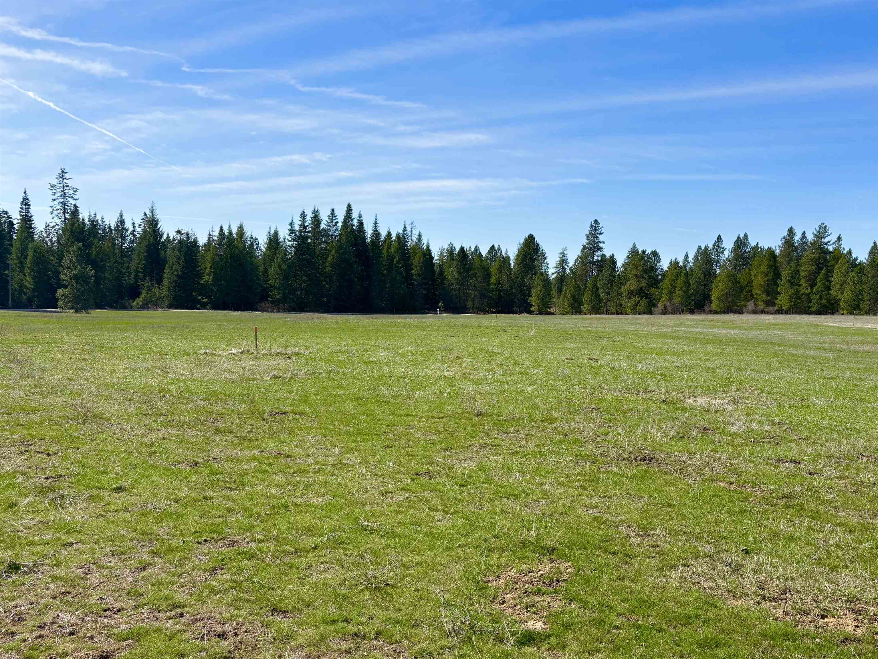 200 Brook Dr - Photo 4