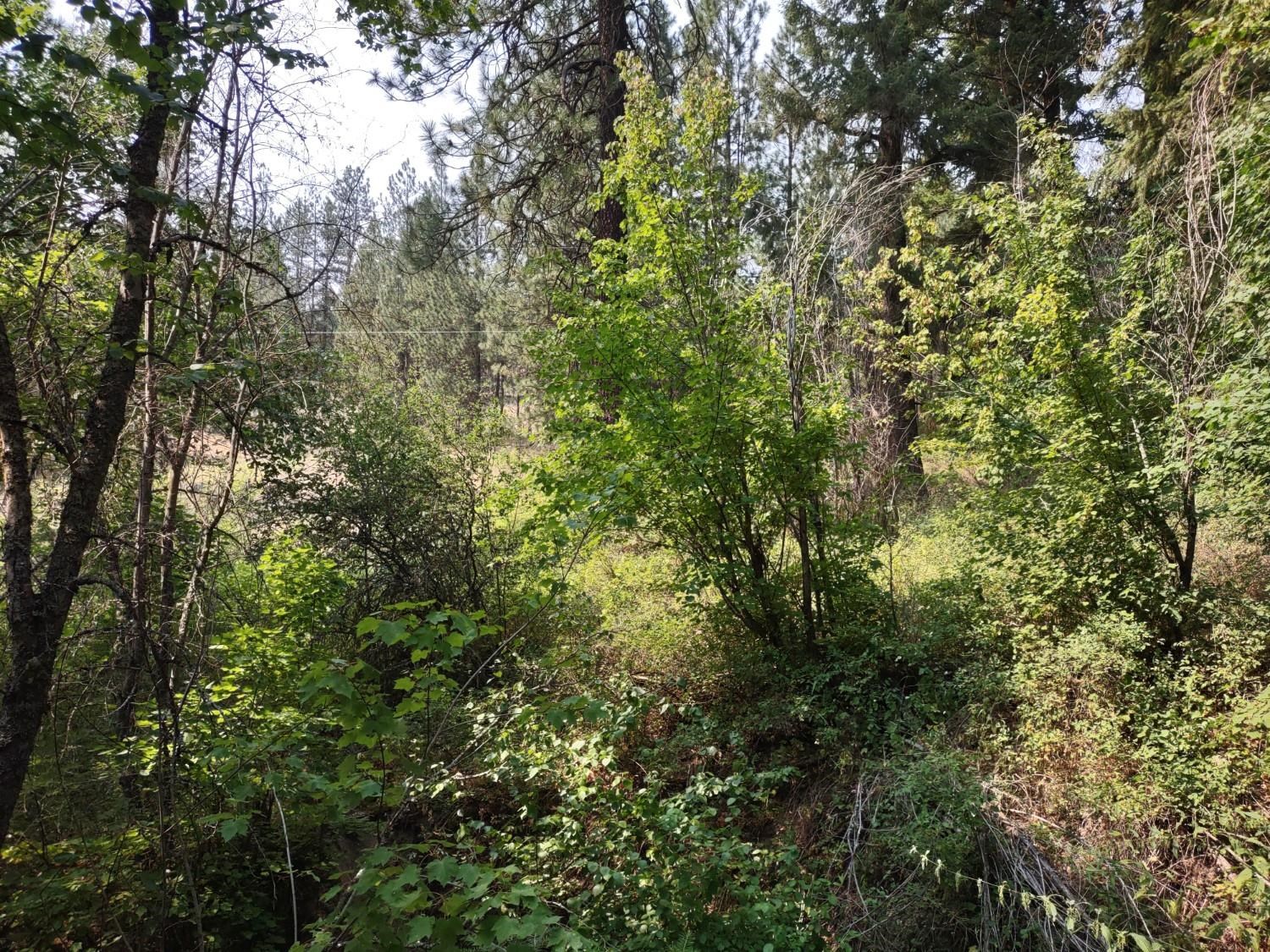 7600 Bernhill Rd - Photo 7