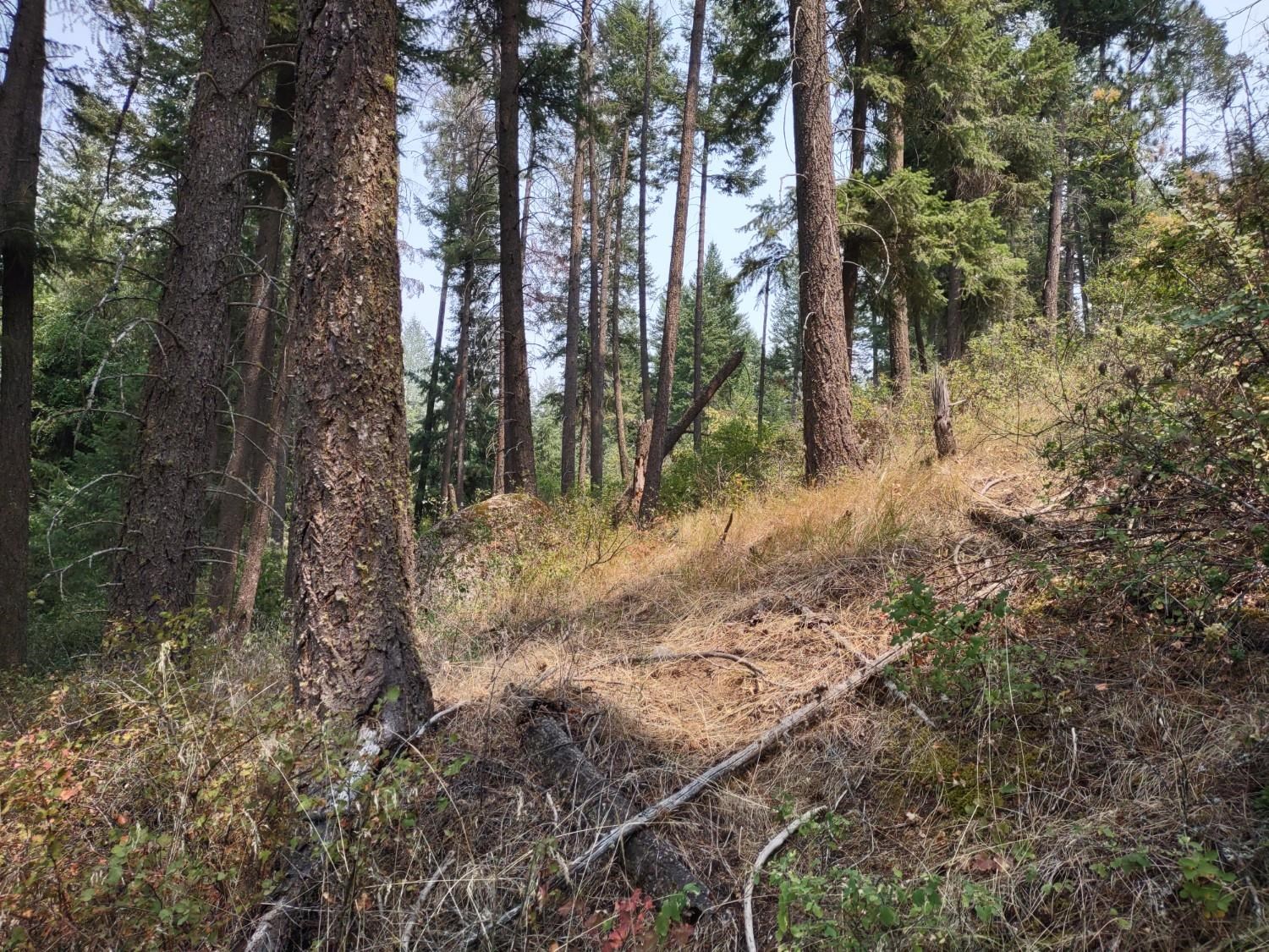 7600 Bernhill Rd - Photo 2