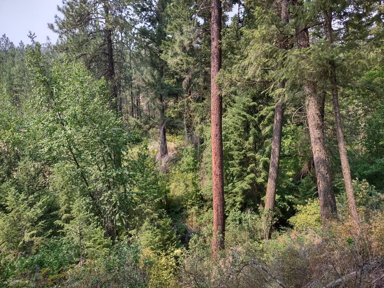 7600 Bernhill Rd - Photo 1