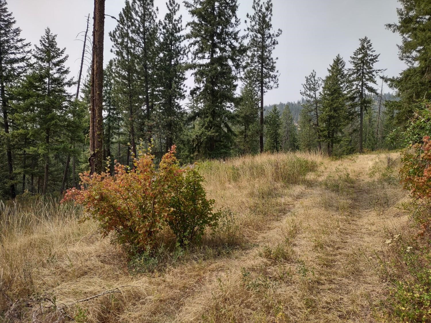 7600 Bernhill Rd - Photo 9