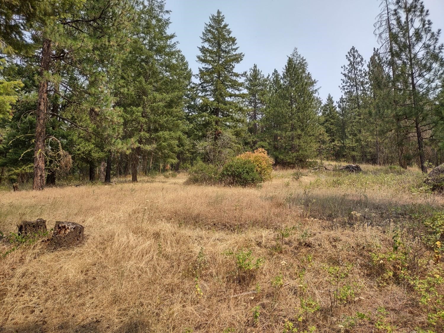 7600 Bernhill Rd - Photo 10