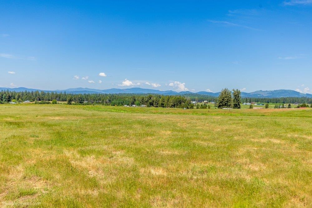 NNA Elk-Chattaroy Rd - Photo 5