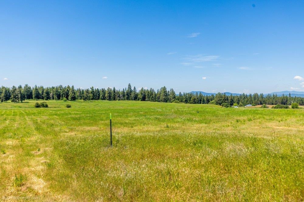 NNA Elk-Chattaroy Rd - Photo 9