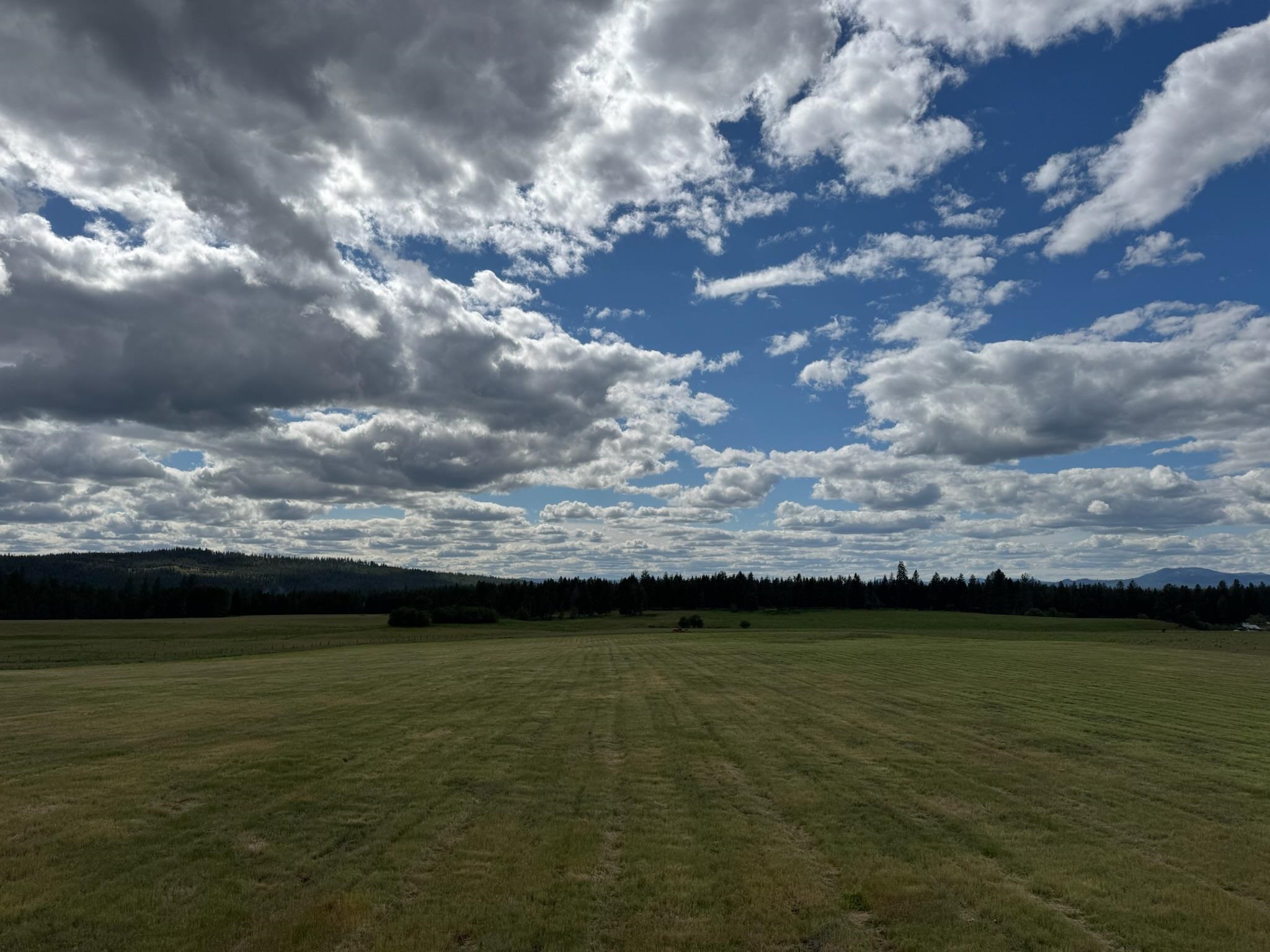 NNA Elk-Chattaroy Rd - Photo 15