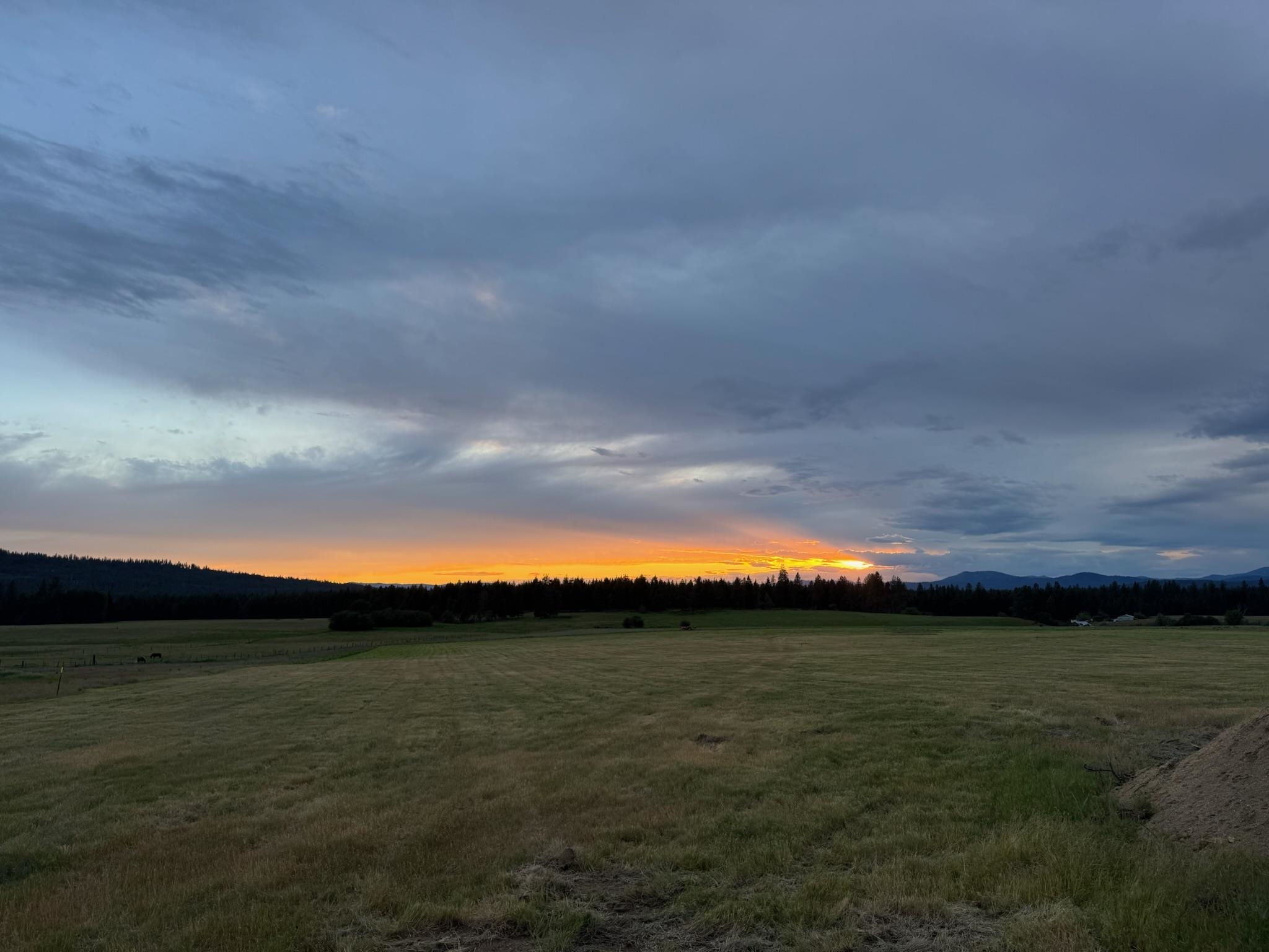 NNA Elk-Chattaroy Rd - Photo 16