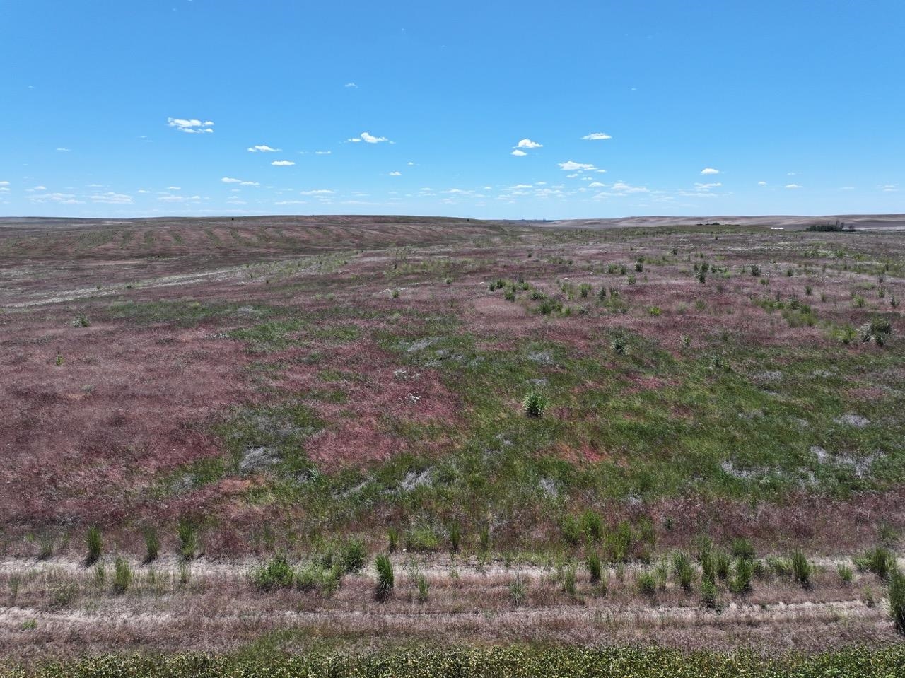 LOT 1 HEPLER LARGE LOT DIVISION Rd - Photo 8