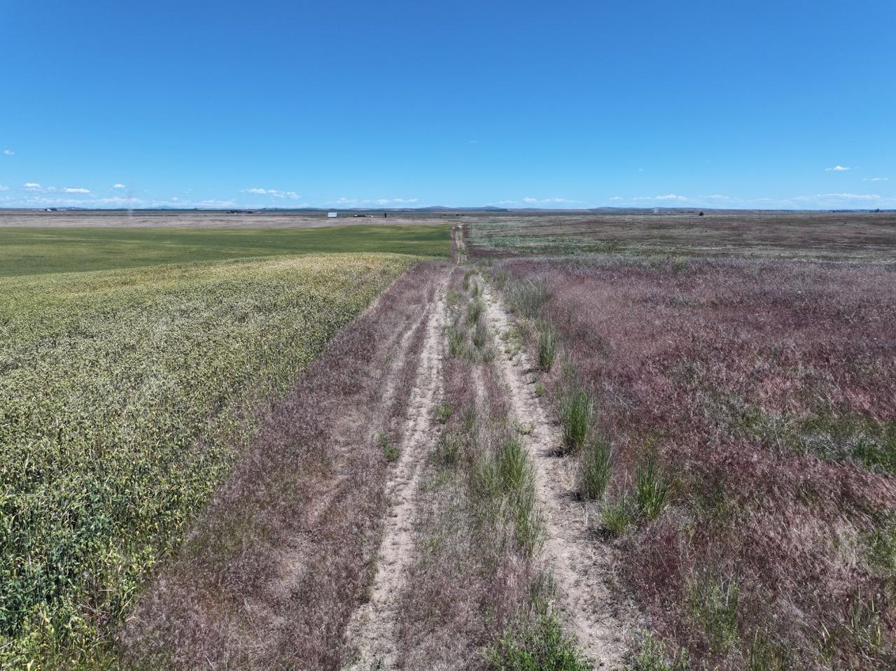 LOT 3 HEPLER LARGE LOT DIVISION Rd - Photo 5