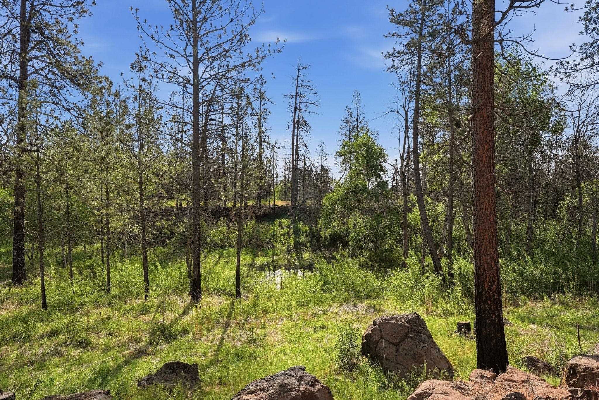 19303 W Penners Ln - Photo 45