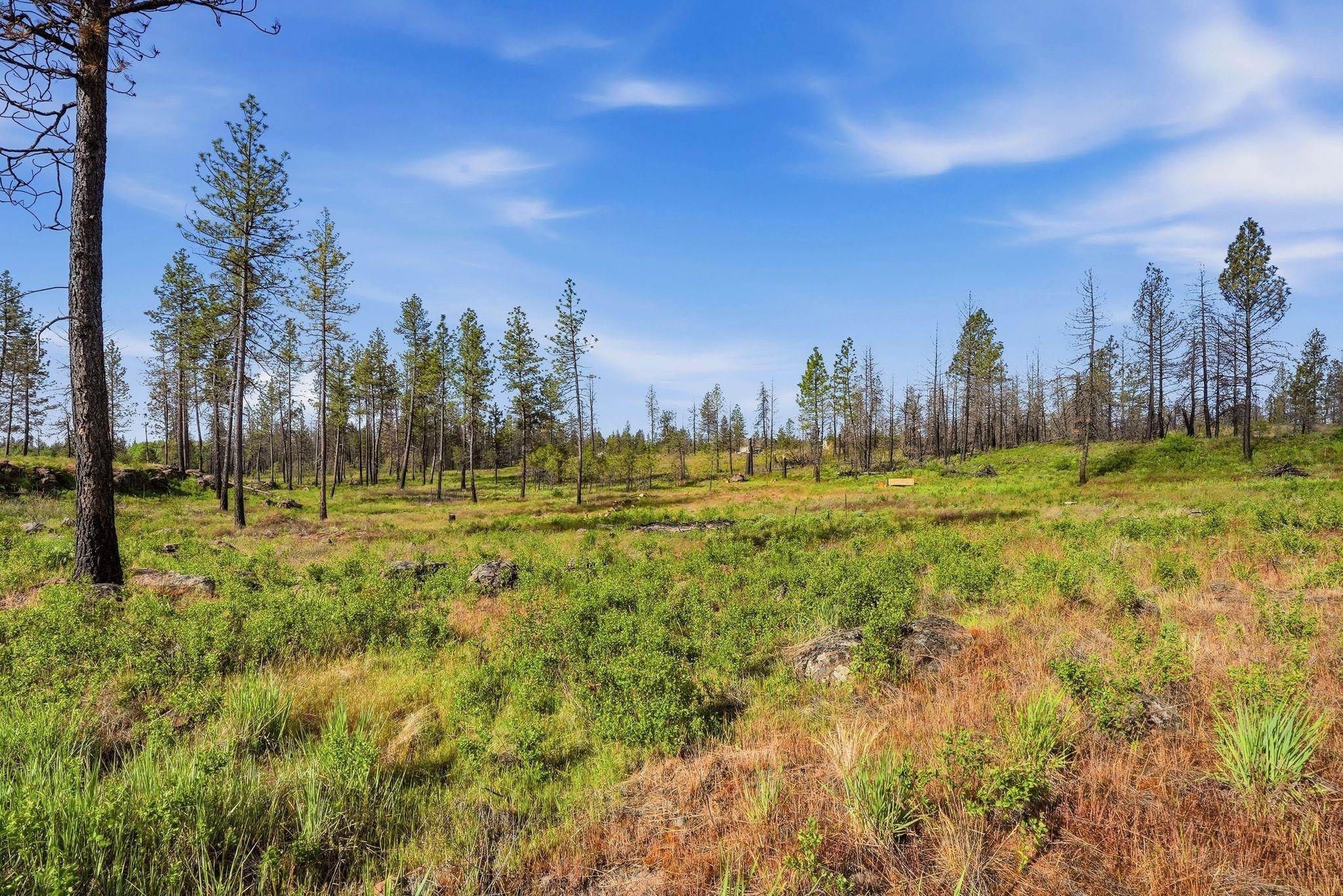 19303 W Penners Ln - Photo 46