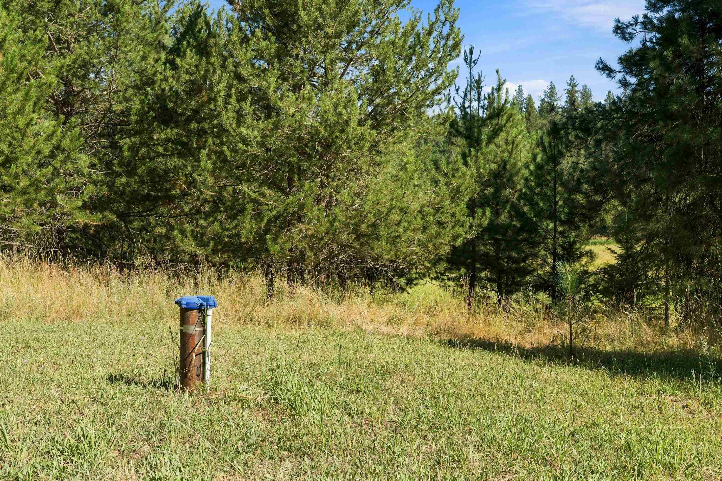 2132 Nicholson Rd - Photo 36