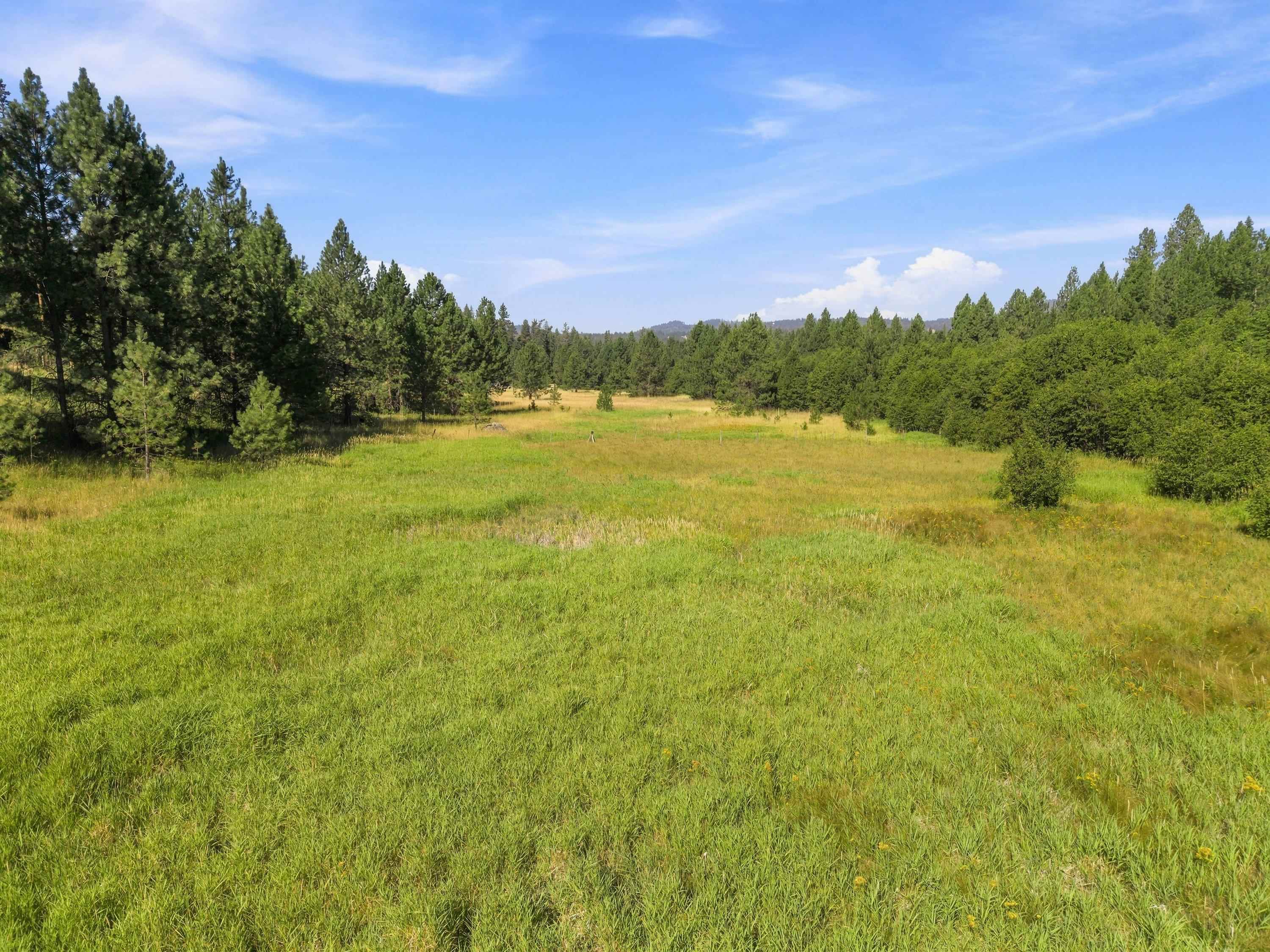 2132 Nicholson Rd - Photo 34