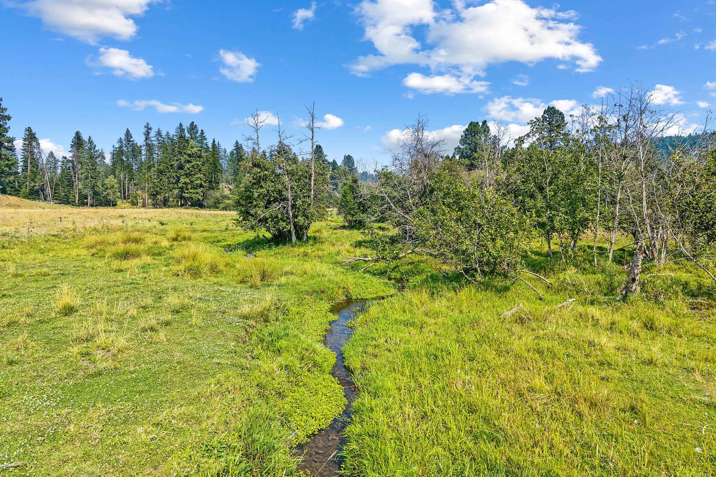 2228 Blue Creek Rd - Photo 49