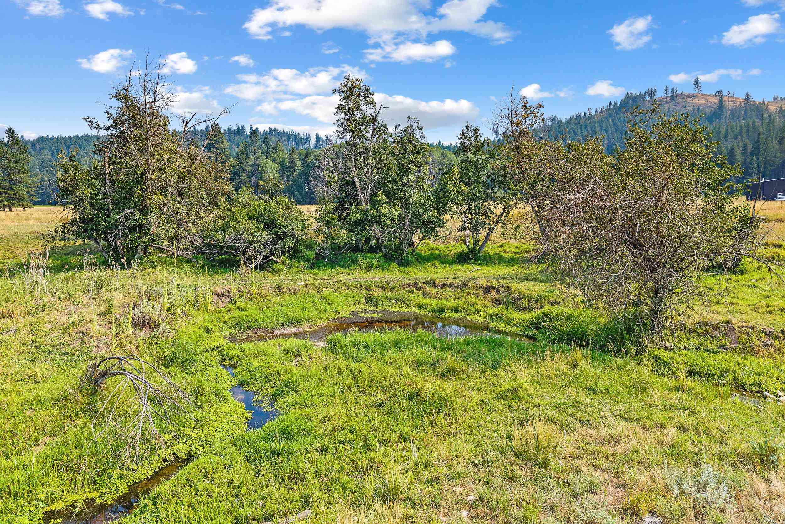 2228 Blue Creek Rd - Photo 50