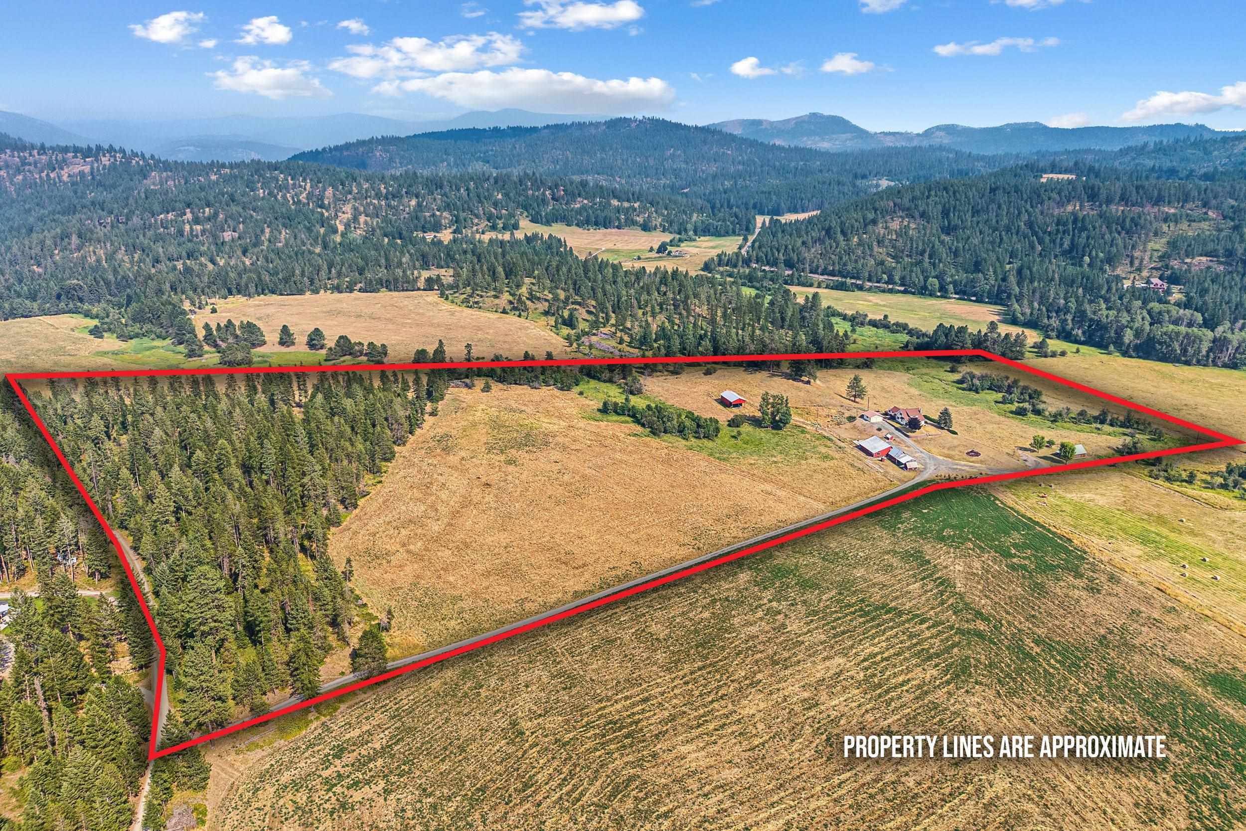 2228 Blue Creek Rd - Photo 48