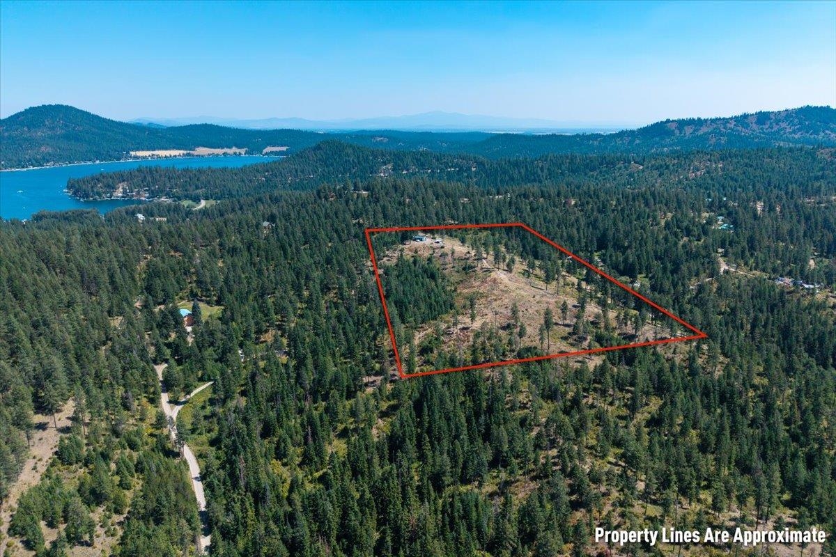 42484 Mt Moriah Way - Photo 20