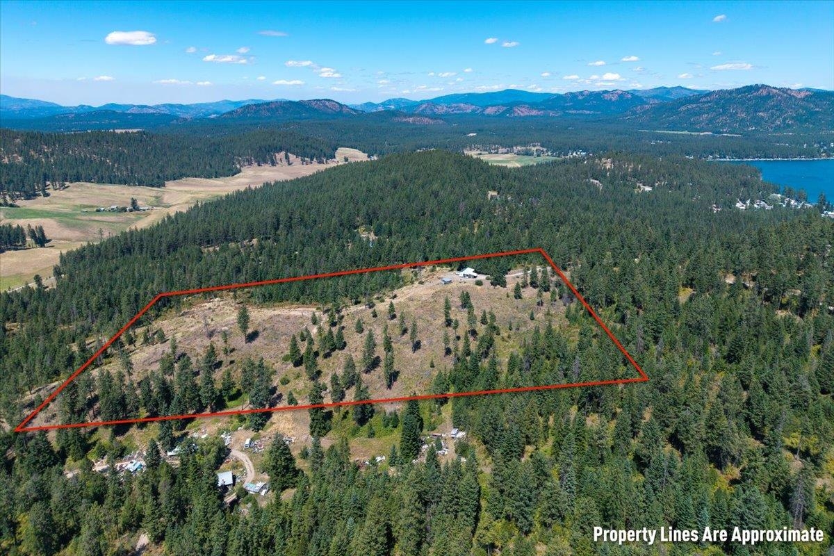 42484 Mt Moriah Way - Photo 22