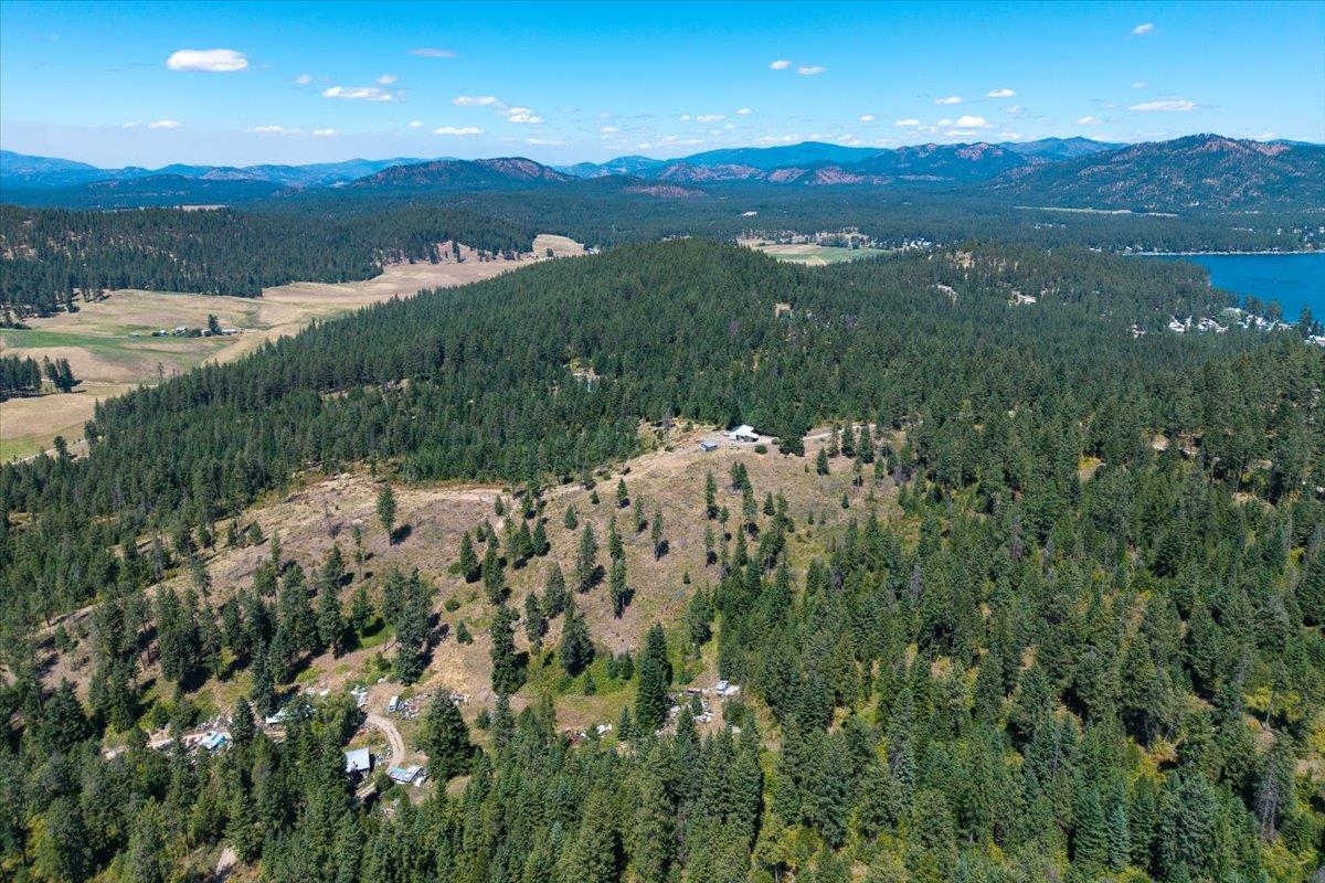 42484 Mt Moriah Way - Photo 23