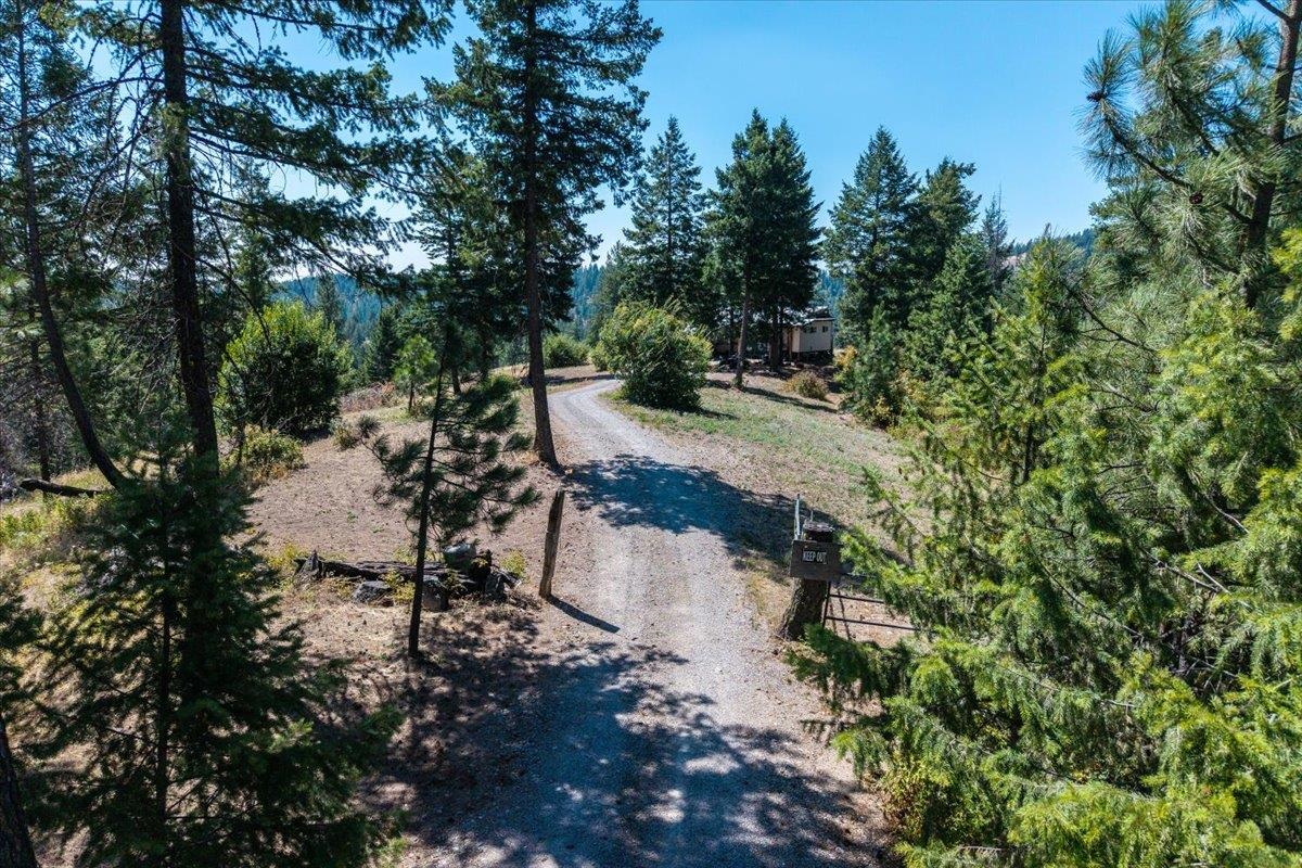 42484 Mt Moriah Way - Photo 2