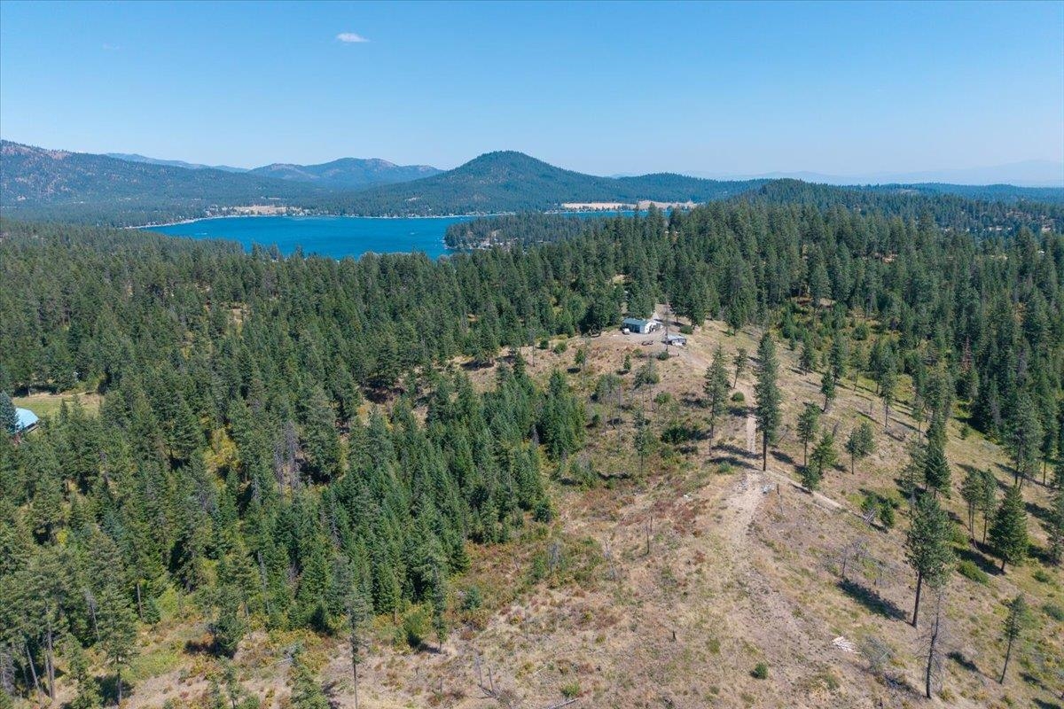 42484 Mt Moriah Way - Photo 29