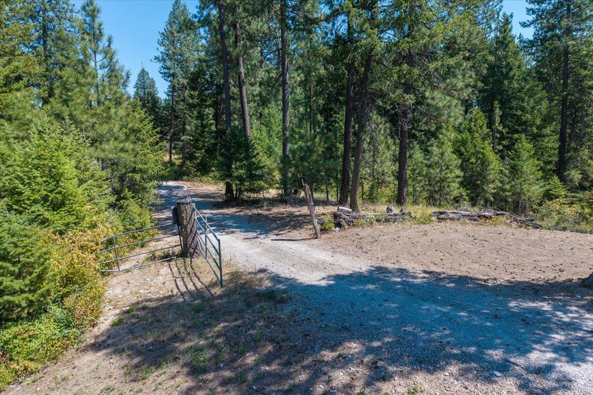 42484 Mt Moriah Way - Photo 1