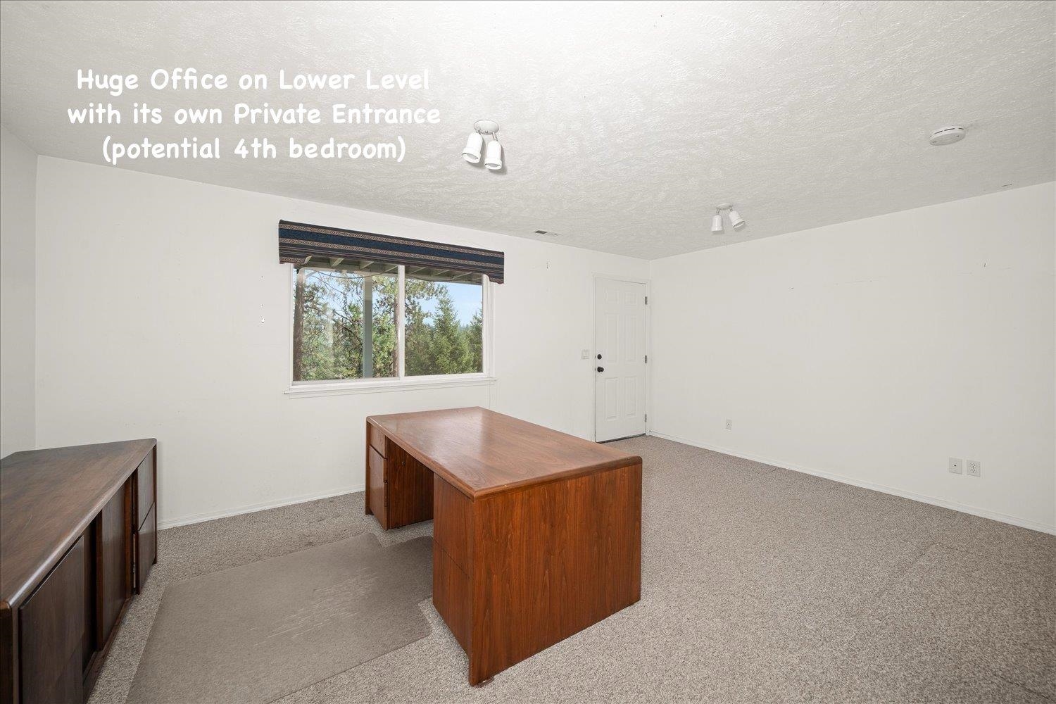 29414 N Selkirk View Dr - Photo 38