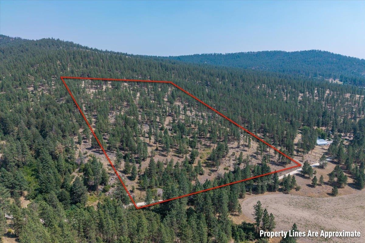 5687X Corkscrew Canyon Rd - Photo 4