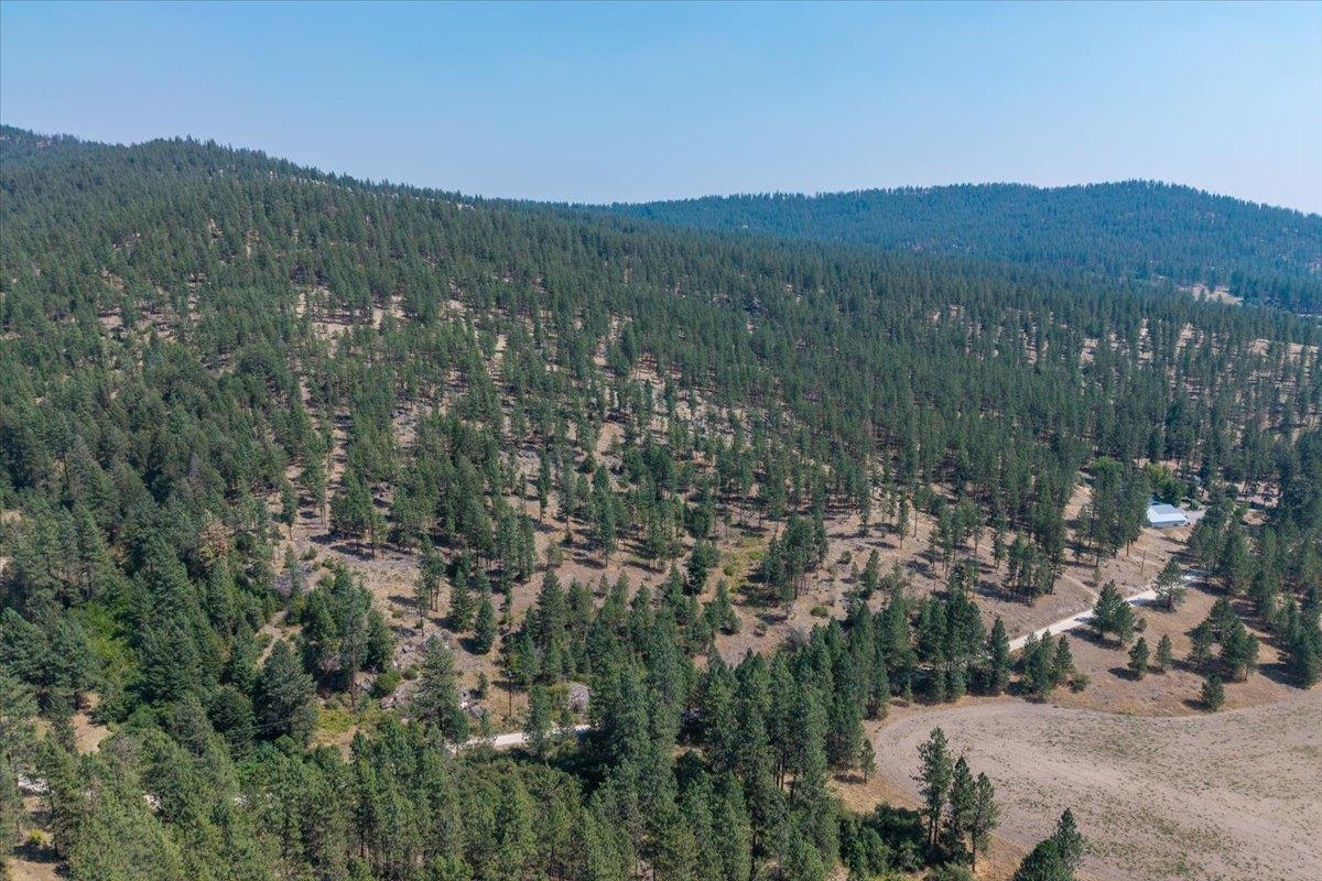 5687X Corkscrew Canyon Rd - Photo 5