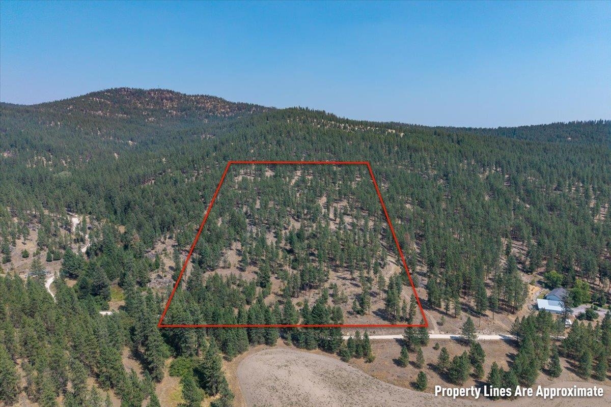 5687X Corkscrew Canyon Rd - Photo 6