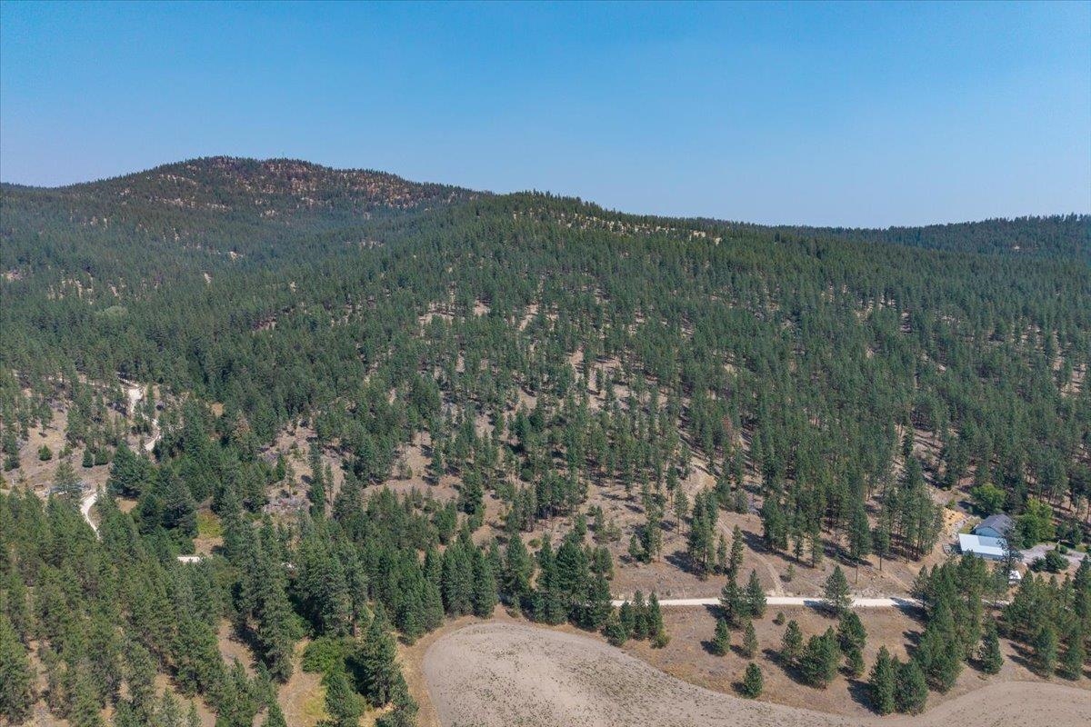 5687X Corkscrew Canyon Rd - Photo 7