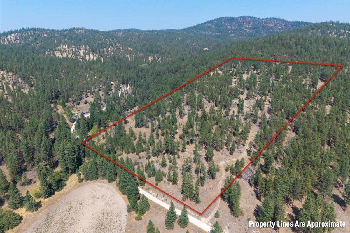 5687X Corkscrew Canyon Rd - Photo 8