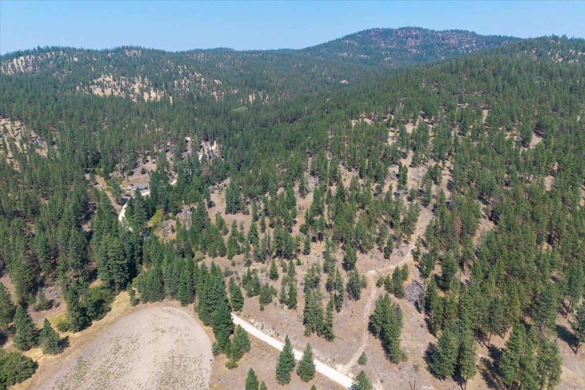 5687X Corkscrew Canyon Rd - Photo 9