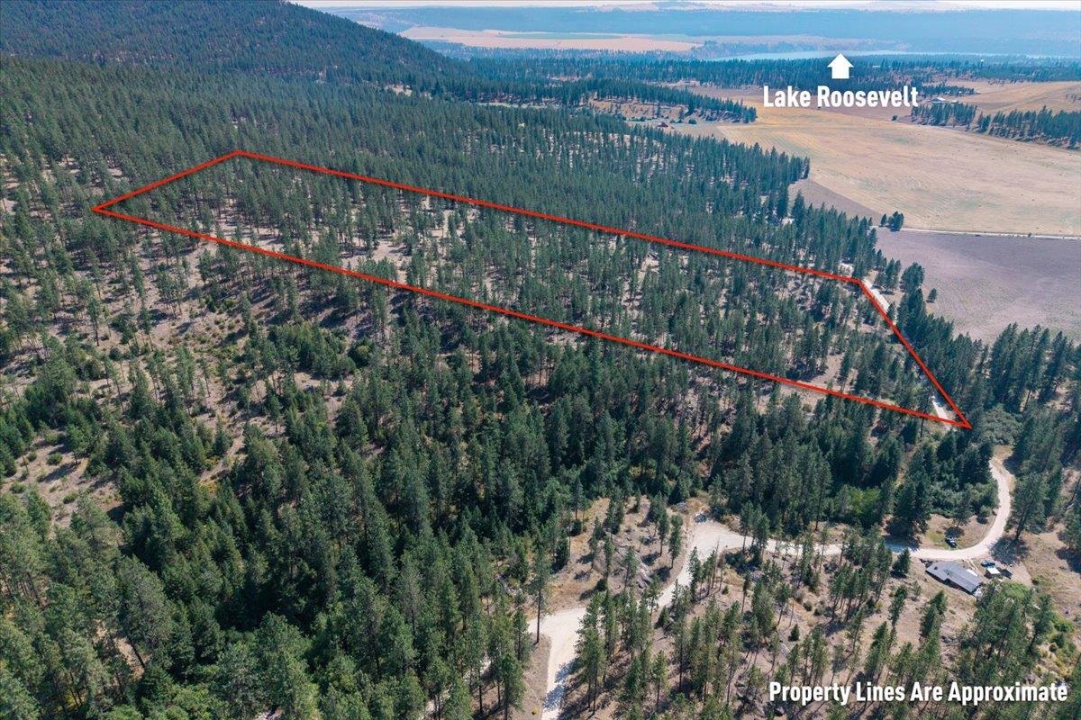 5687X Corkscrew Canyon Rd - Photo 10
