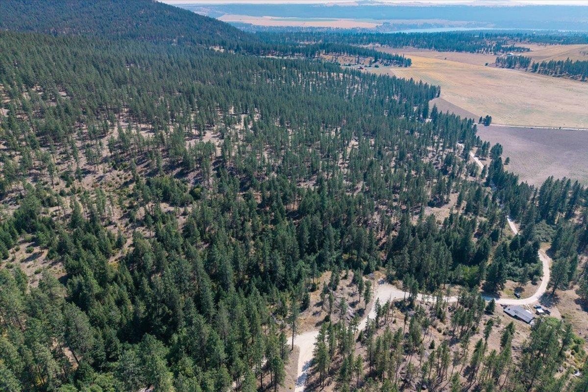 5687X Corkscrew Canyon Rd - Photo 11