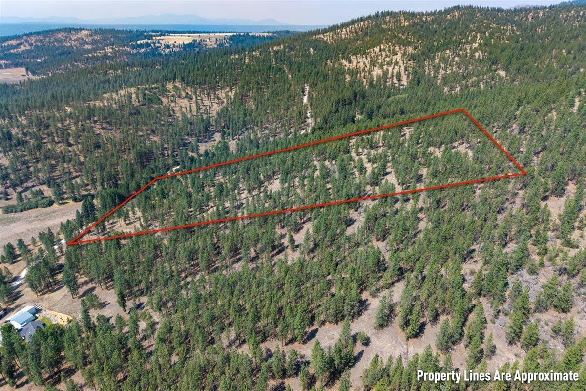 5687X Corkscrew Canyon Rd - Photo 13