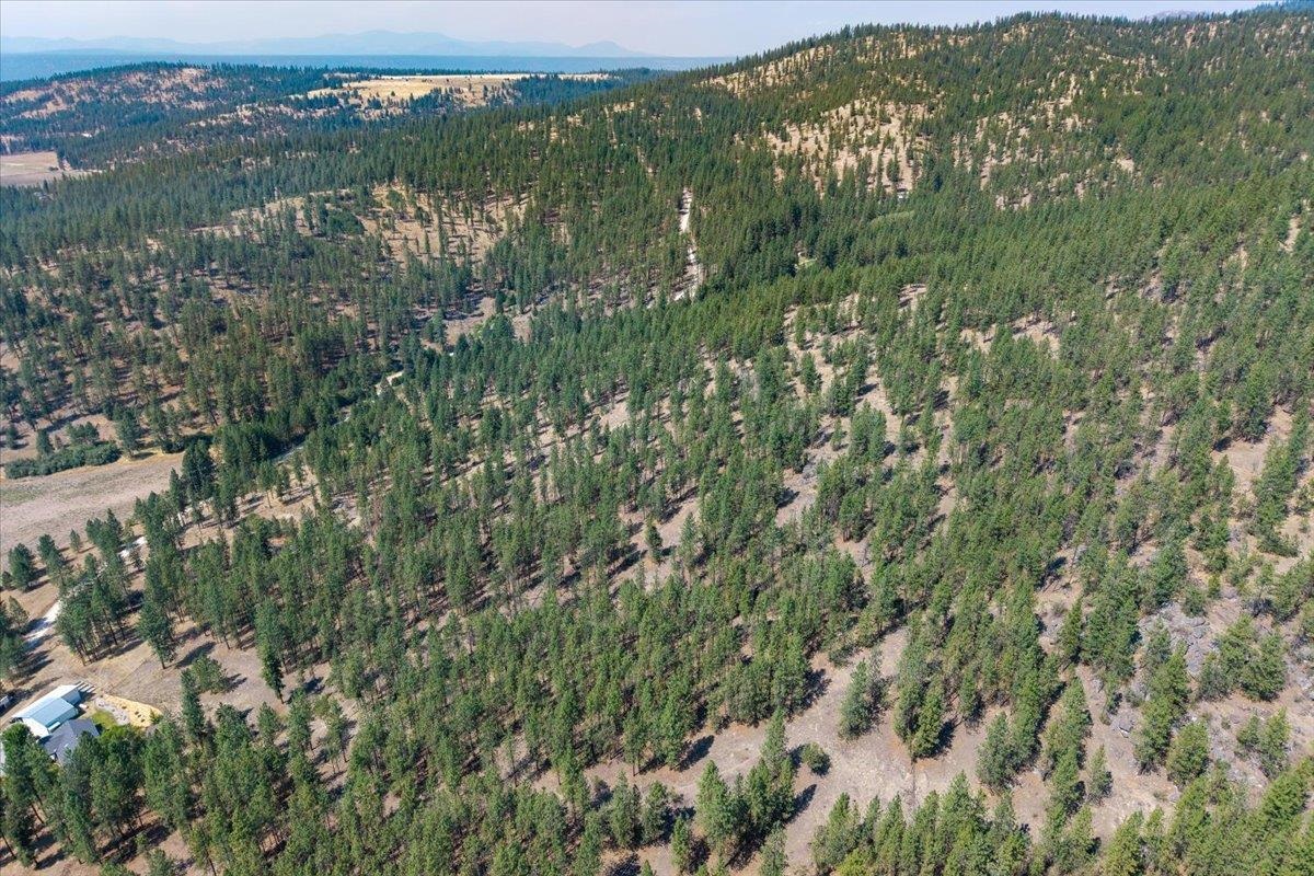 5687X Corkscrew Canyon Rd - Photo 14