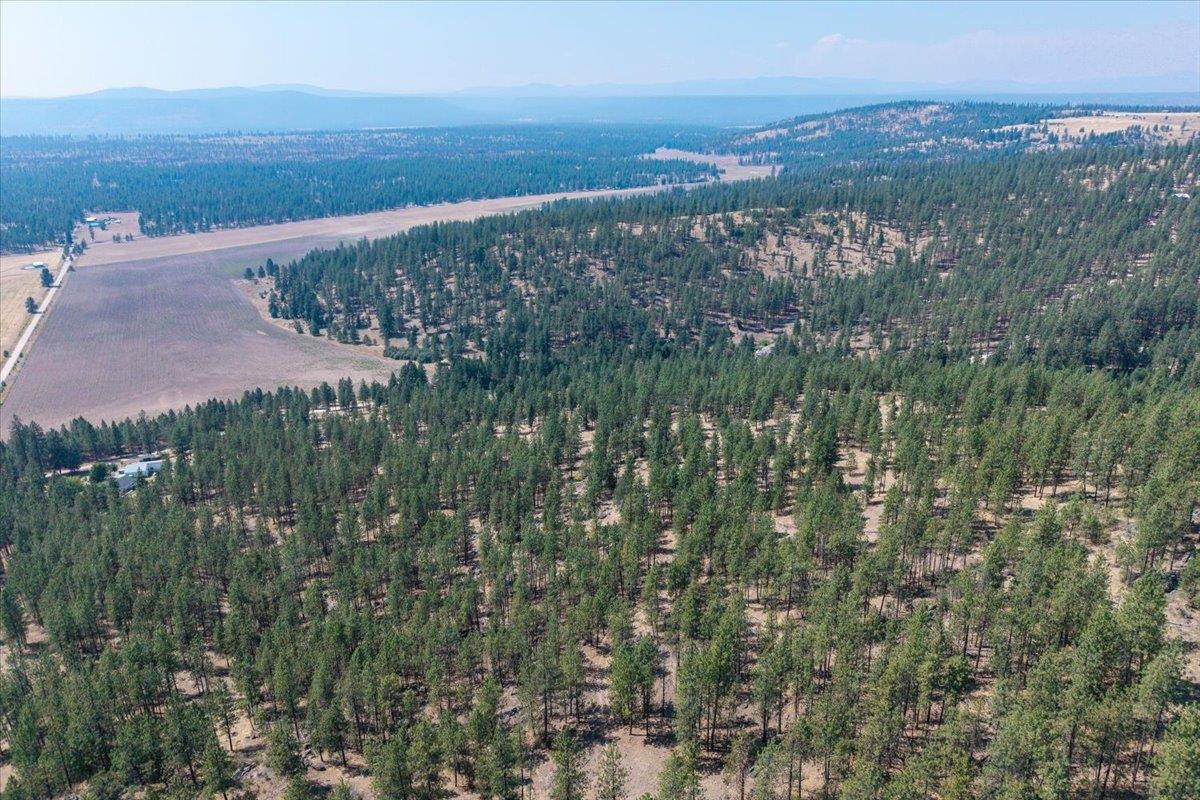 5687X Corkscrew Canyon Rd - Photo 15