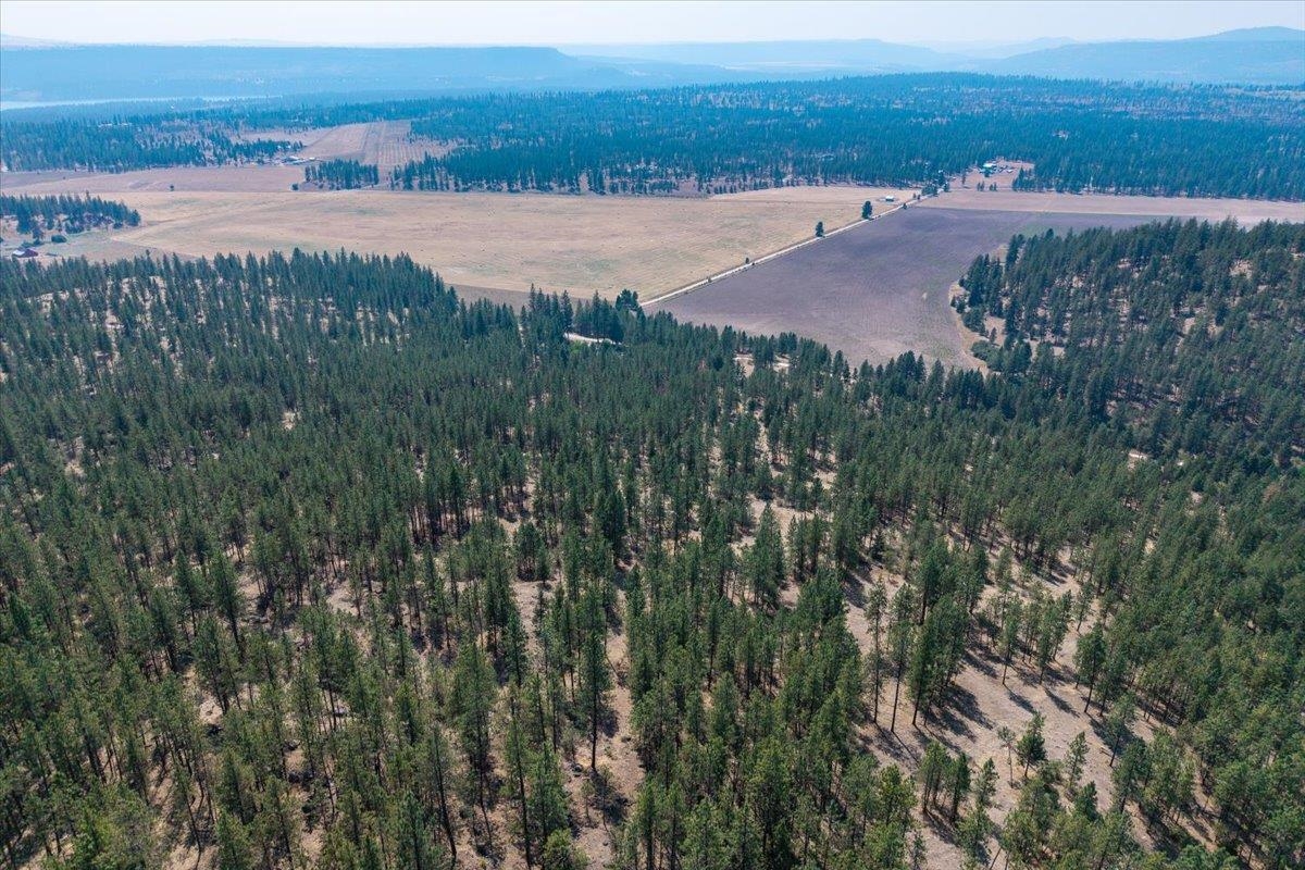 5687X Corkscrew Canyon Rd - Photo 16