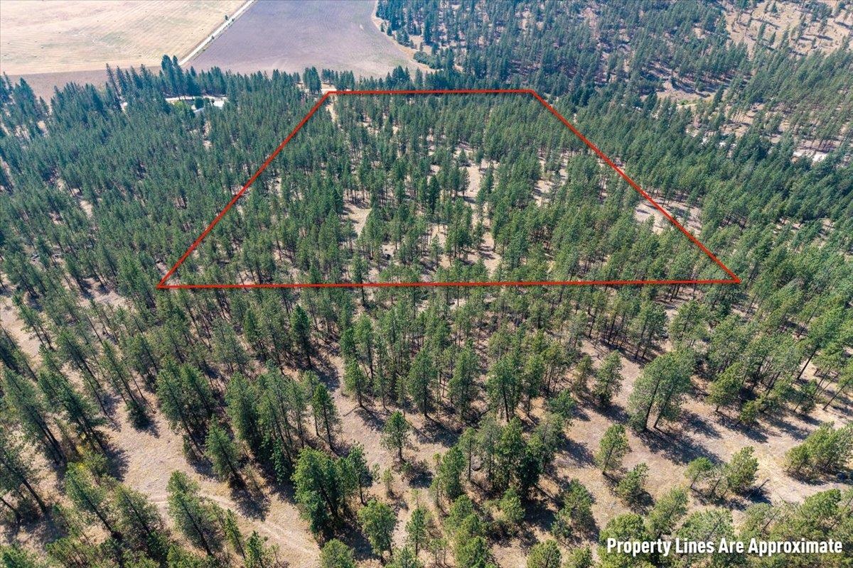 5687X Corkscrew Canyon Rd - Photo 17