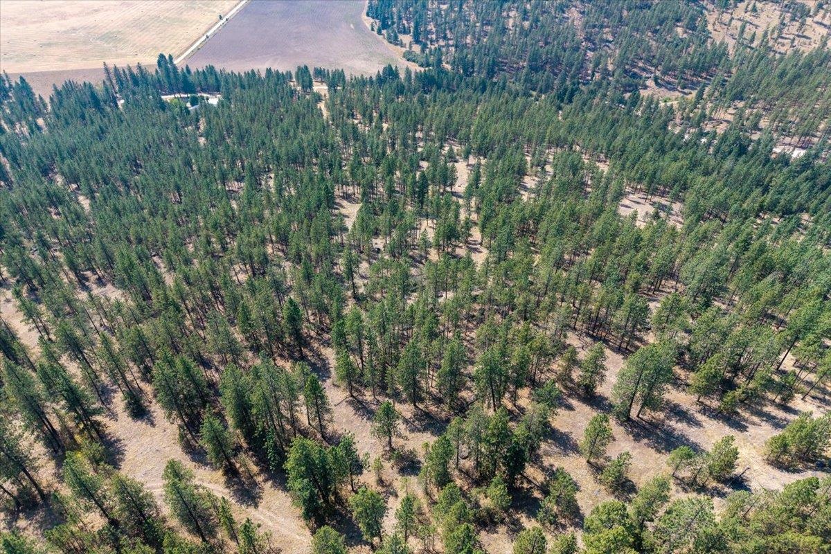 5687X Corkscrew Canyon Rd - Photo 18