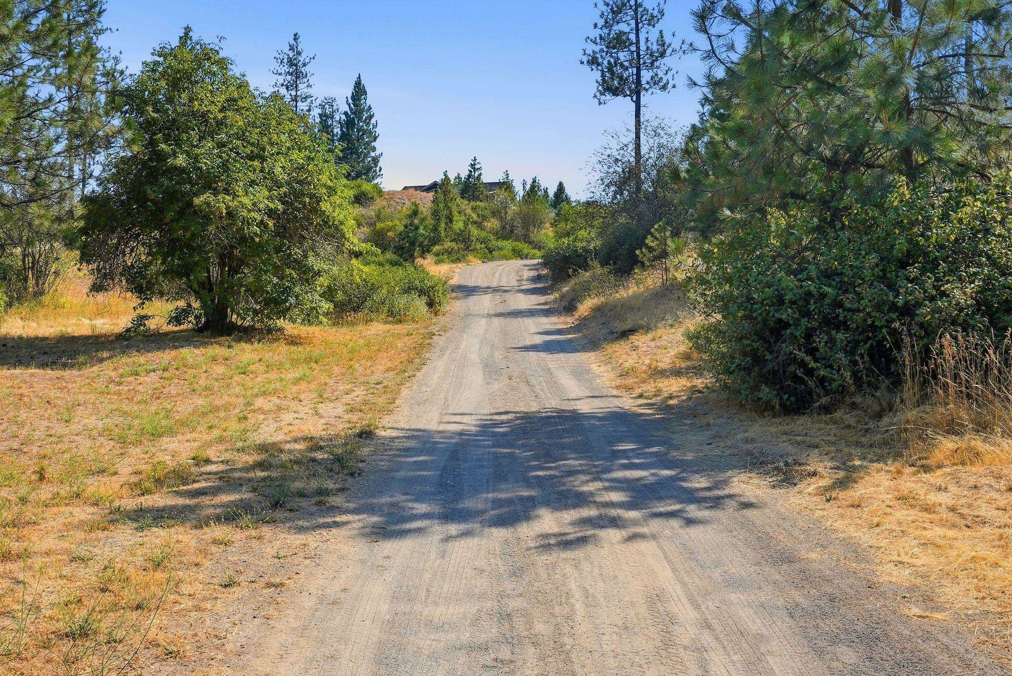 18511 N Sportsmans Paradise Ln - Photo 38
